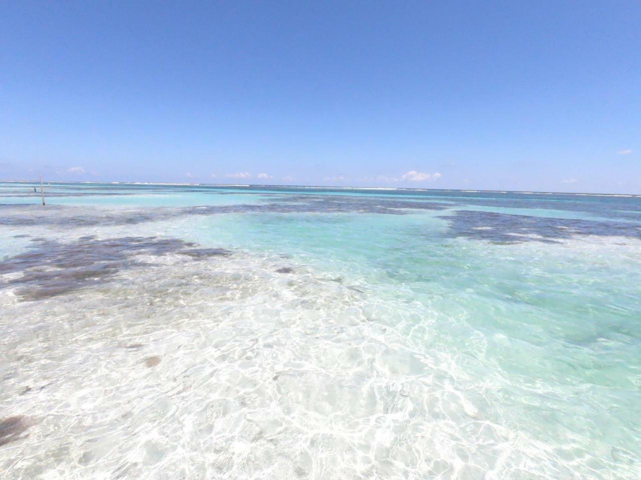 Palmeras De Mahahual Cabanas 외부 사진