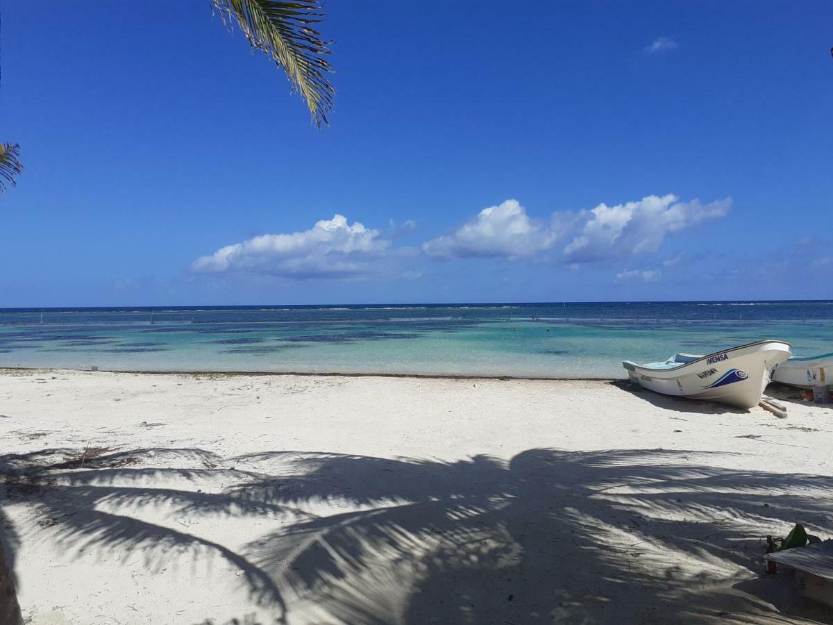 Palmeras De Mahahual Cabanas 외부 사진