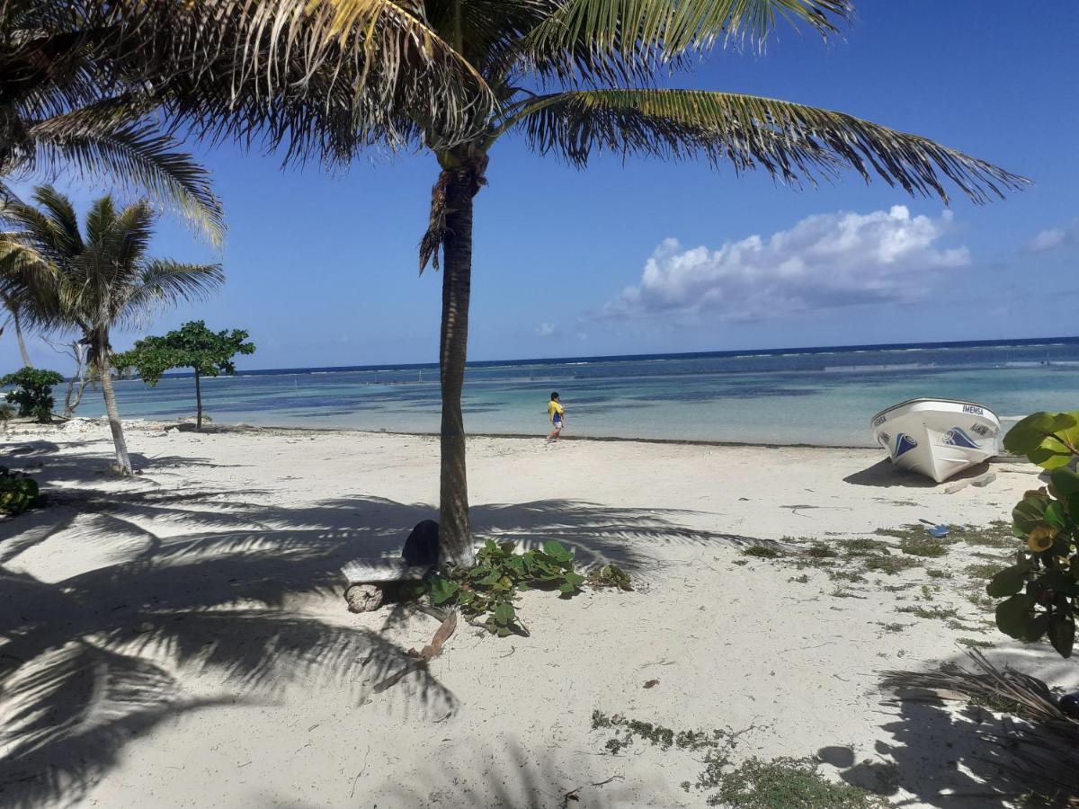 Palmeras De Mahahual Cabanas 외부 사진