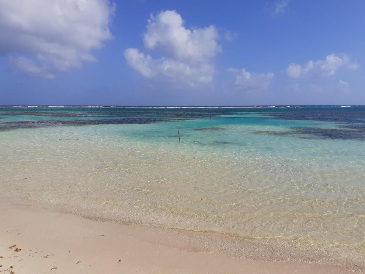 Palmeras De Mahahual Cabanas 외부 사진